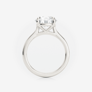 Naya Tapered Cathedral Ring - Image 4