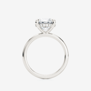 Elira Half Rounded Hidden Halo Engagement Ring